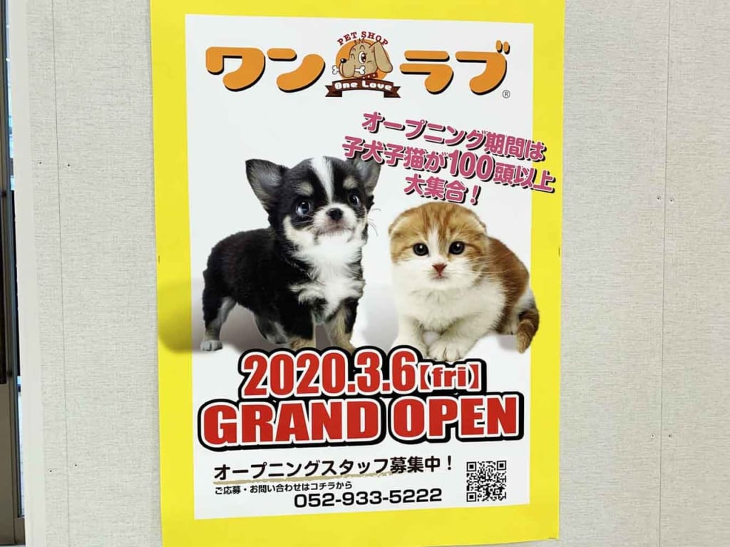 ペットショップワンラブ_オープンチラシ