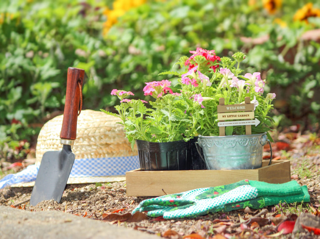 ガーデニングイメージ