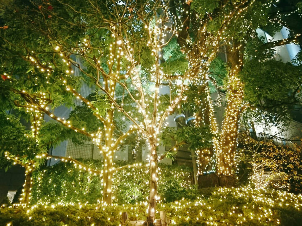 イルミネーション