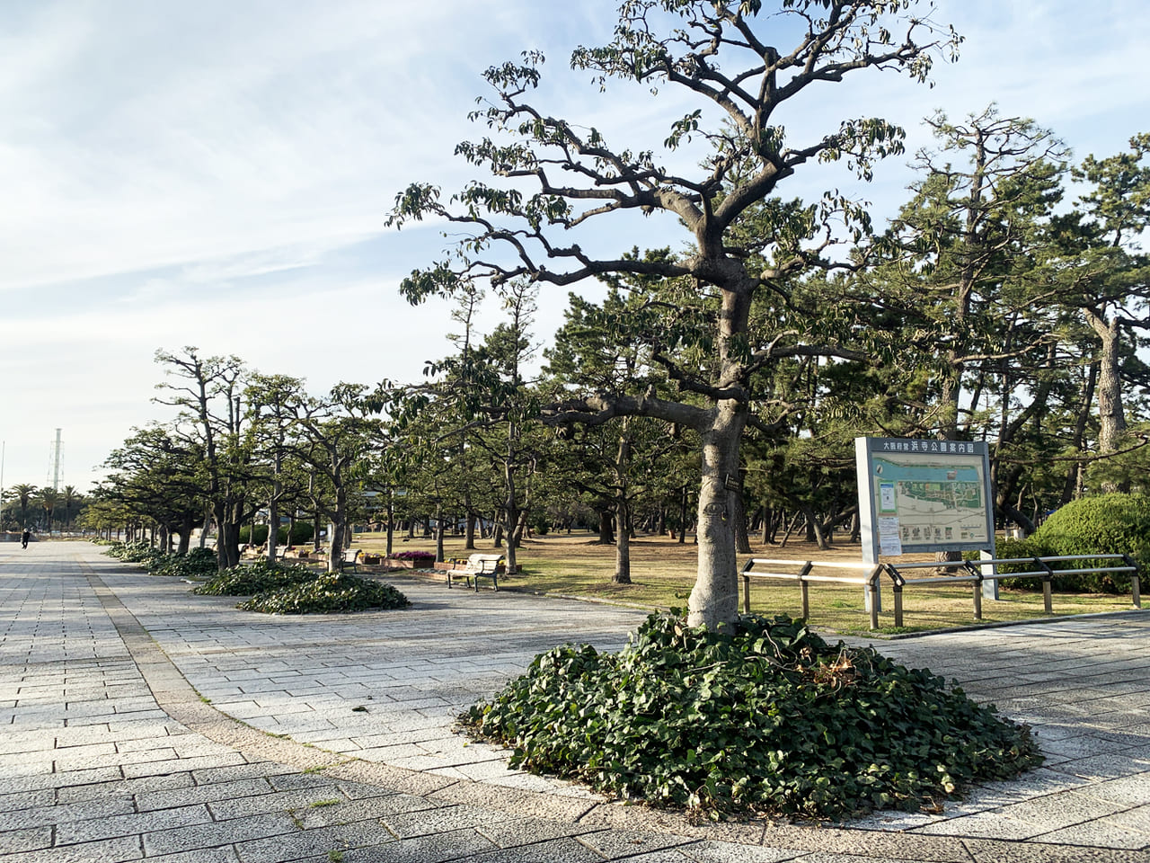 堺市西区 今年も浜寺公園の 桜祭り が開催予定です グルメやハンドメイドのフリーマーケットなども 号外net 堺市堺区 西区