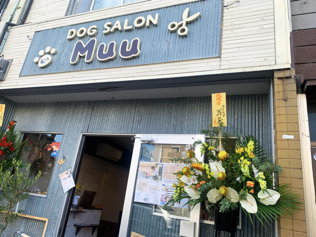 DOGSALON Muu