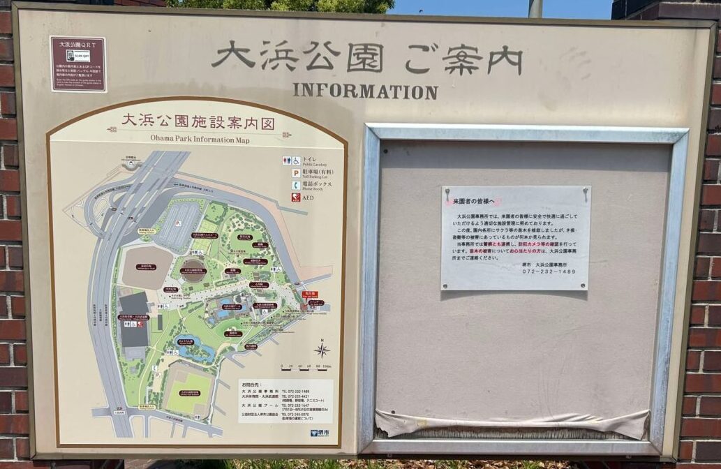 おおはま