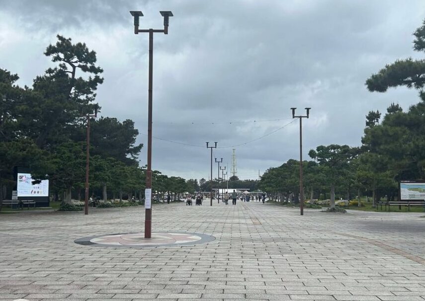 とっておき１９