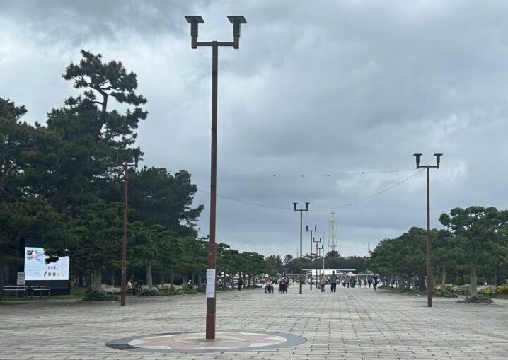 とっておき１９