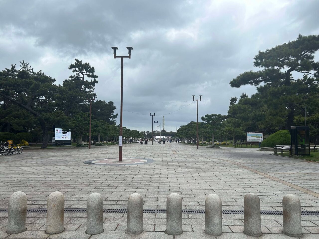 とっておき１９