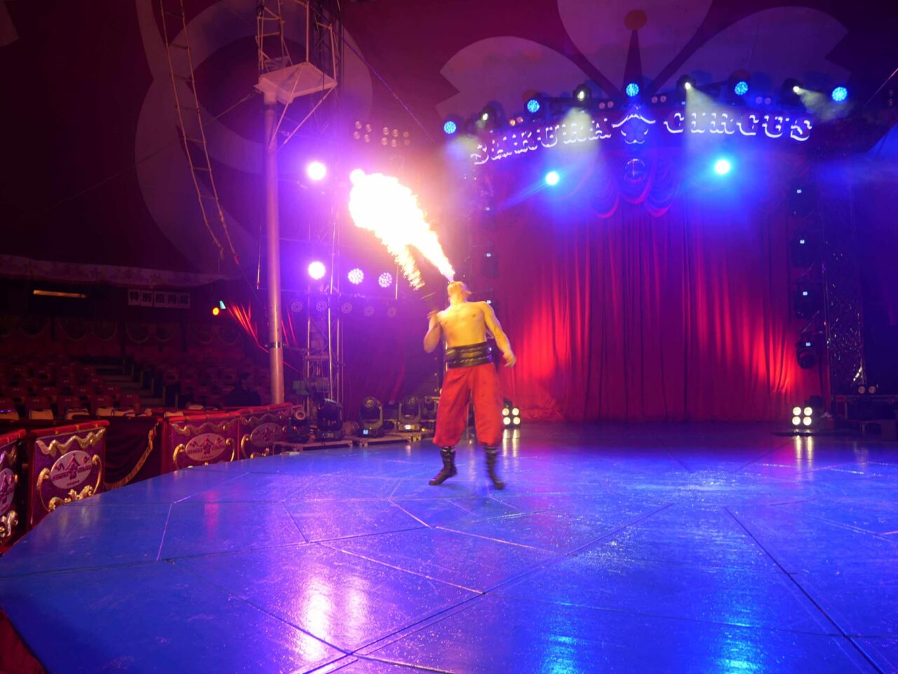 さくらサーカス１０