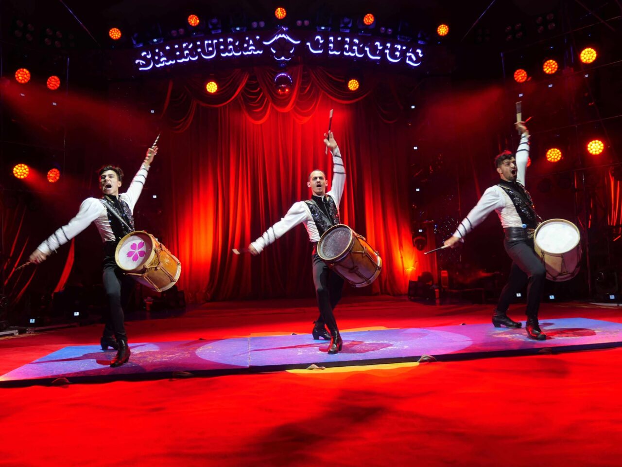 さくらサーカス６