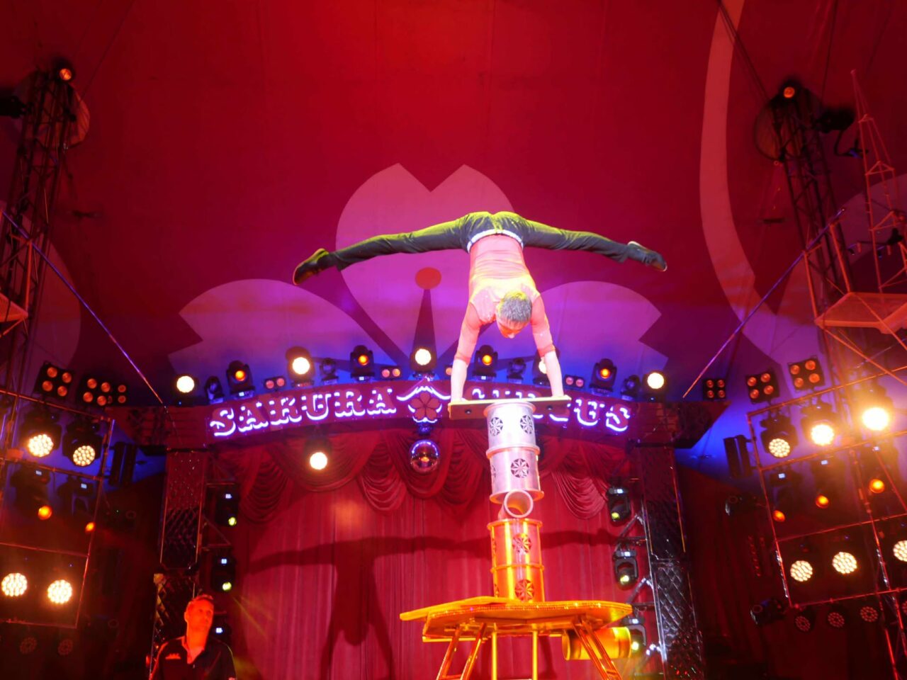 さくらサーカス８