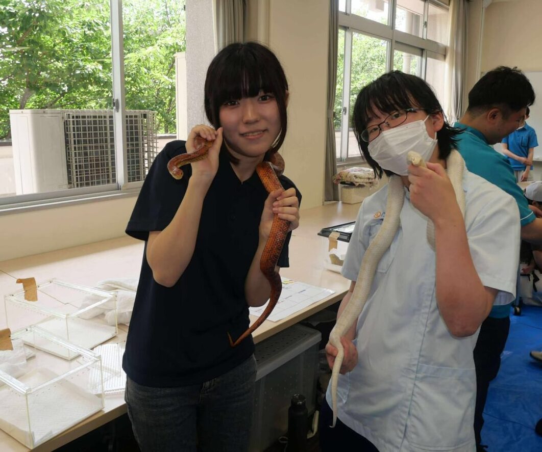 浅香山フェス１４