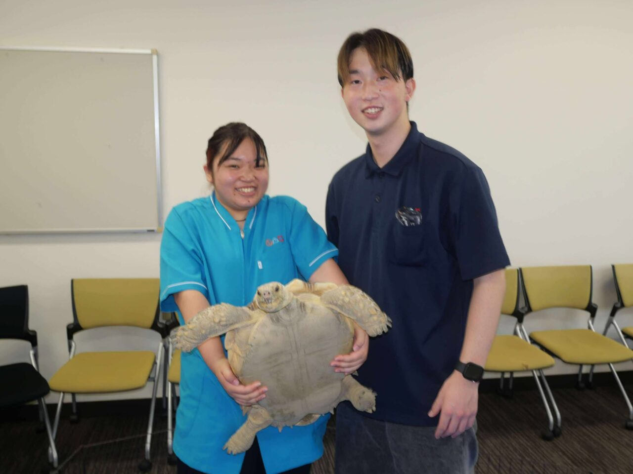 浅香山フェス１５