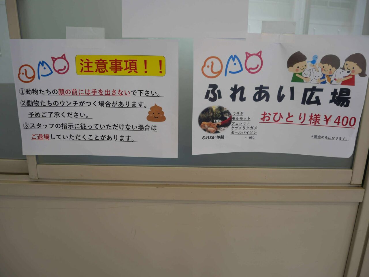 浅香山フェス１３