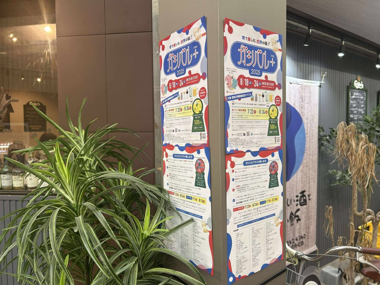 ガシバルプラス６