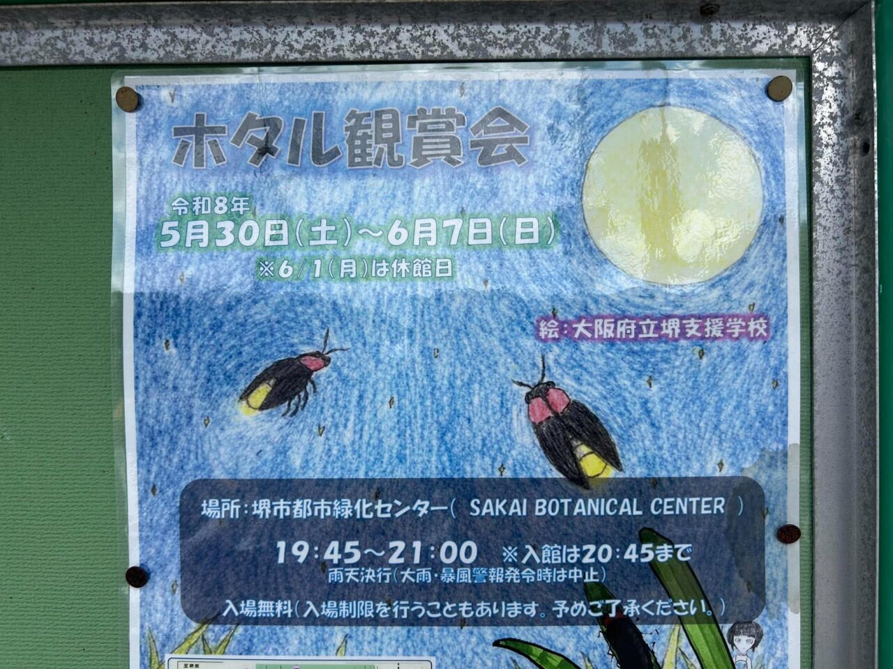 蛍２