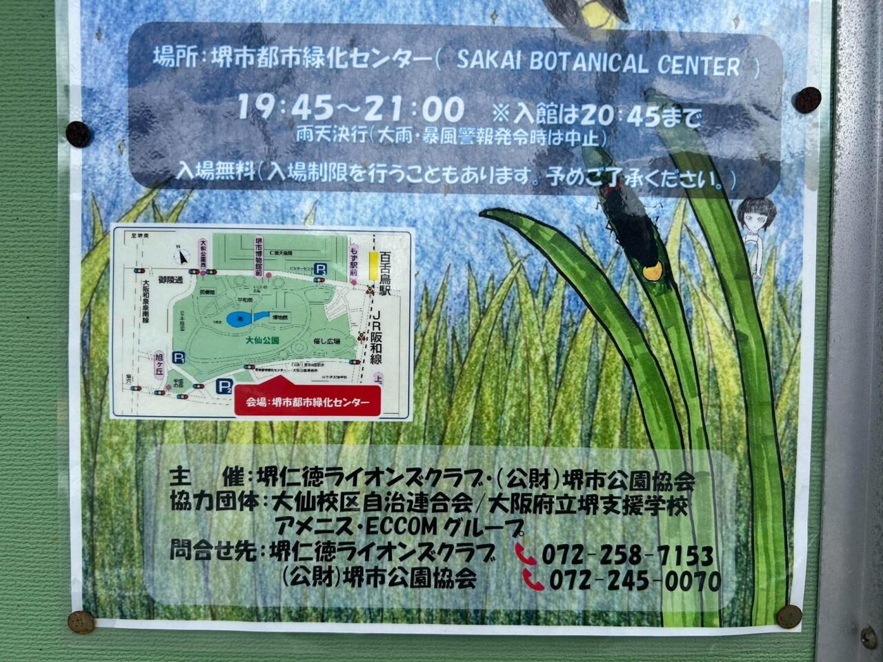蛍３