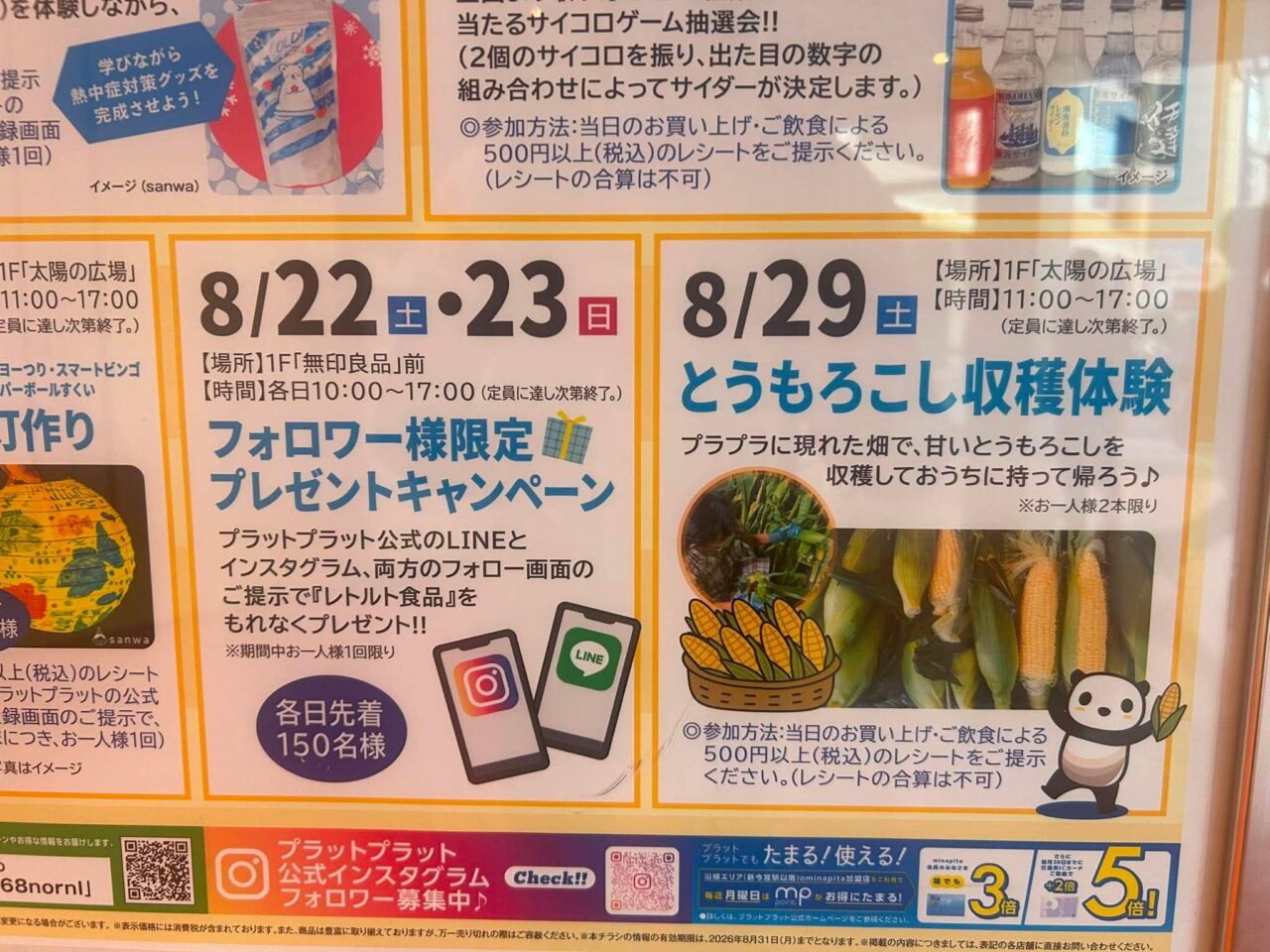 トウモロコシ2